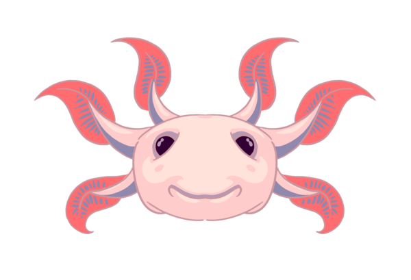 adorable axolotl